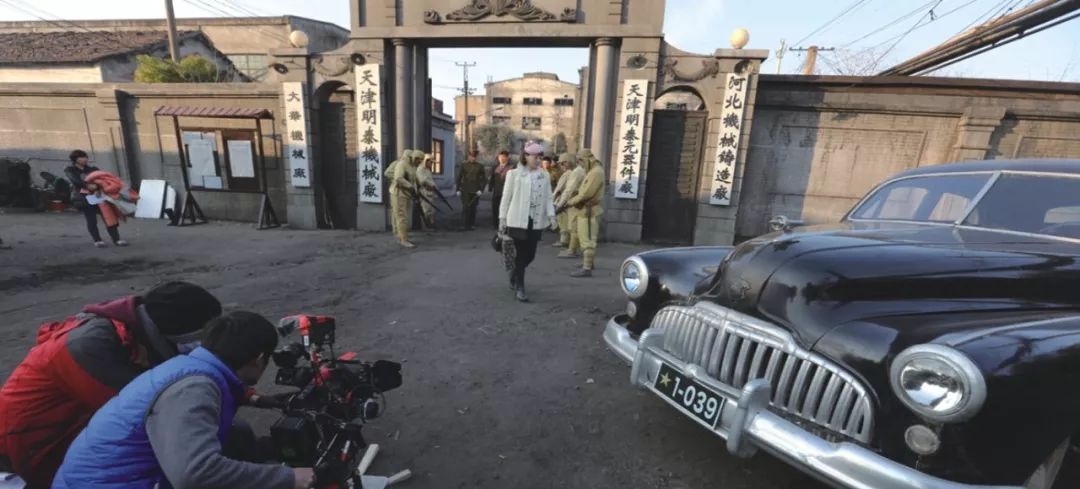 嗜血灰熊 相关产品