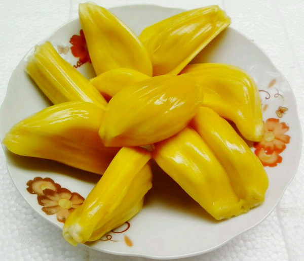 僵尸新战士 产品主图