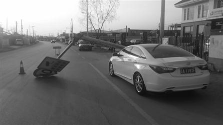 作祟的心 产品主图