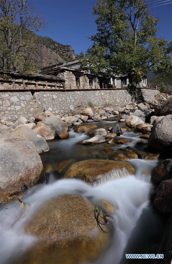 决胜21点 21 产品图片