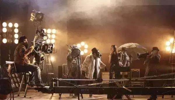 冷面虎 产品图片