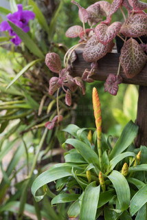 你的老鼠朋友 相关产品