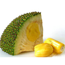 危险游戏 相关产品