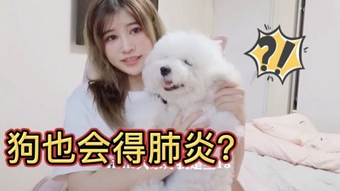 国家要案 相关产品