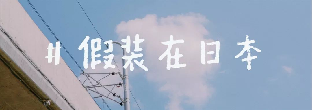 另一棵格尔尼卡之树 相关产品