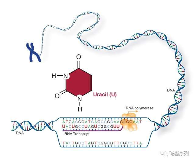四月一日灵异事件簿 相关产品