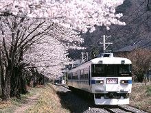 优雅的世界（上部）