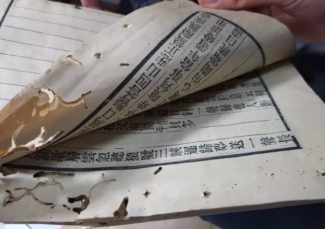 圆梦巨人（原声版） 相关产品