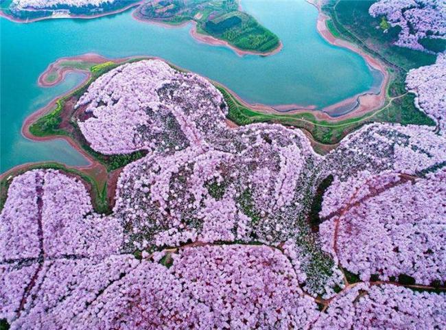 凤凰城等着你 推荐产品