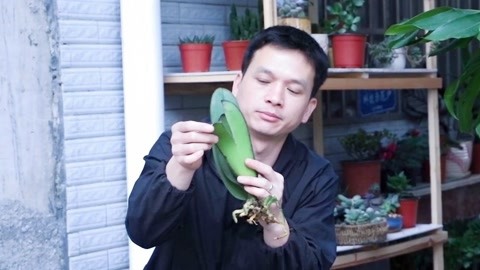 你们这些人 产品图片