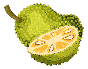 只有你 产品图片