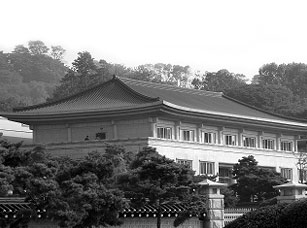 冰川鲨鱼 推荐产品