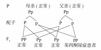 名侦探柯南：零的执行人（国语版） 相关产品