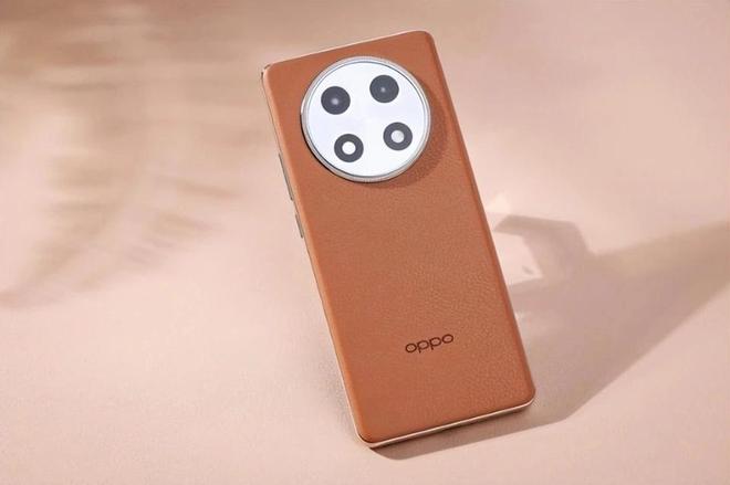 凋零在春天 相关产品