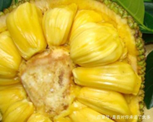 冷酷的心 产品图片