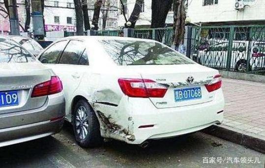 冰川鲨鱼 相关产品