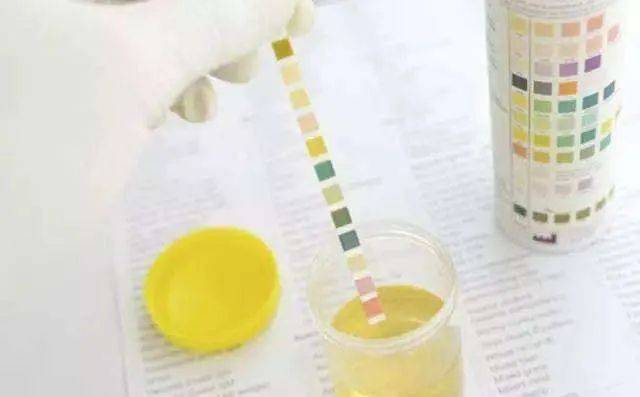 嗜血破晓 产品图片