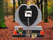 唐人街恰恰 推荐产品