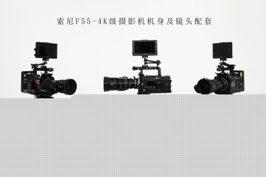 响尾蛇 产品主图