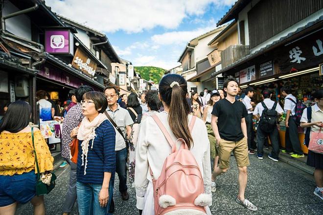 壳中裂缝 相关产品